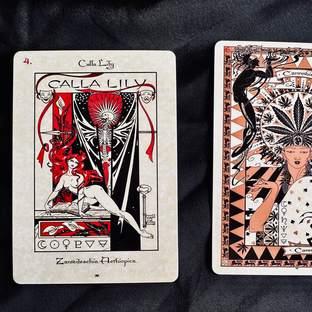 Close view of a Magickal Botanical Oracle card and its herb illustration - Let's Jam, Camden Town