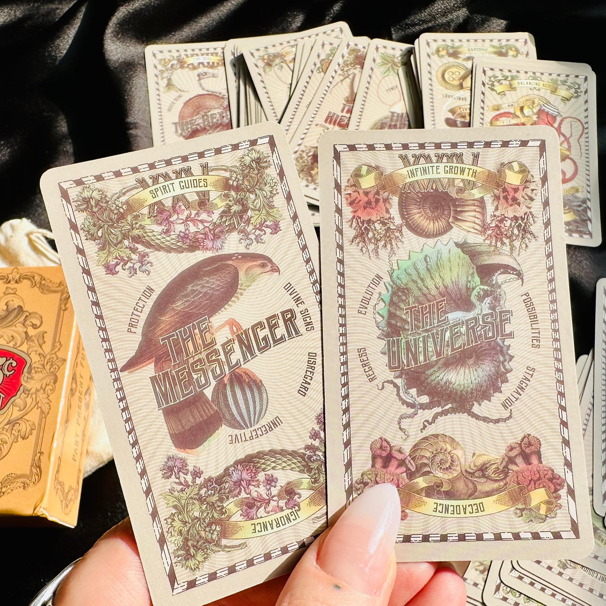 The 5 Cent Tarot deck box with its vintage engraving-style cover - Let's Jam tarot and oracle, Camden Market