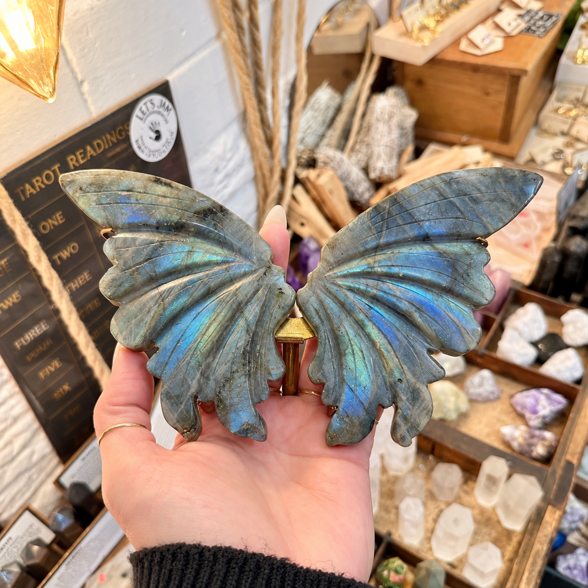 Labradorite butterfly wings held in the hand with the blue flash showing - Let's Jam, Camden Town