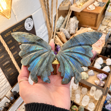 Load image into Gallery viewer, Labradorite butterfly wings held in the hand with the blue flash showing - Let's Jam, Camden Town