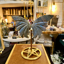 Load image into Gallery viewer, Labradorite butterfly standing on its gold star stand in the shop - Let's Jam, Camden Market
