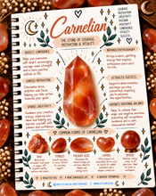 Load image into Gallery viewer, Carnelian crystal meaning infographic - Let's Jam, Camden Town