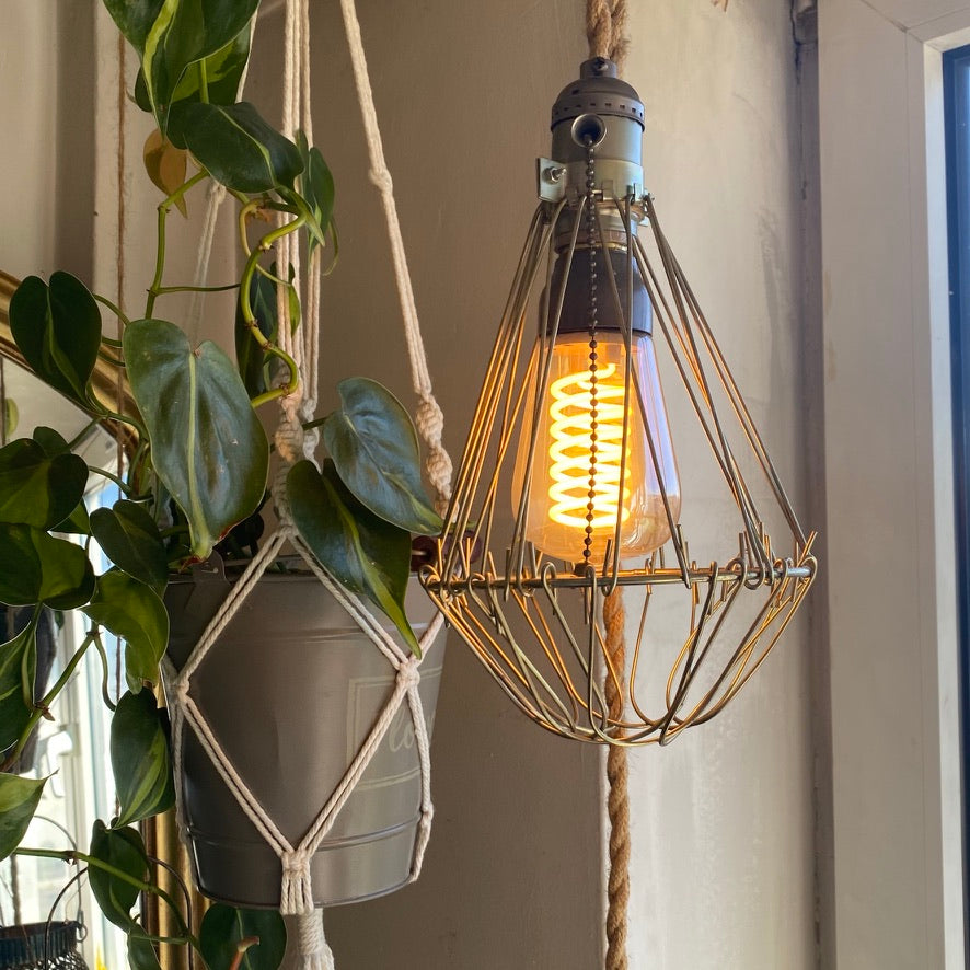 Large wire cage pendant lamp with a glowing squirrel-cage LED filament bulb, hung by a hemp rope beside a trailing pothos plant in a macrame hanger - Let's Jam collection