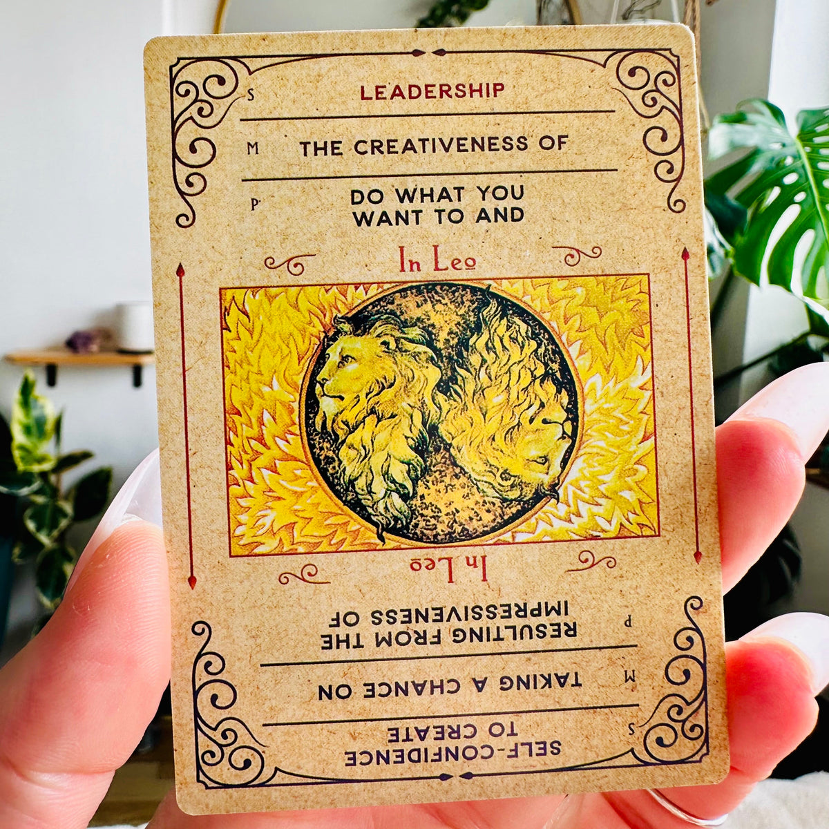 Karma Cards fanned out showing zodiac and planet designs - Let's Jam, Camden Town