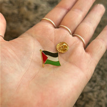 Load image into Gallery viewer, Pin / Badge - Palestinian Flag
