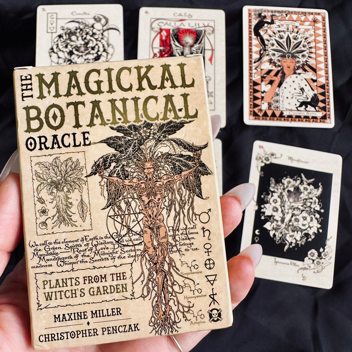 Hand holding The Magickal Botanical Oracle deck box featuring illustrated witch's garden plant artwork, with tarot-style cards fanned out on black fabric behind - Let's Jam collection
