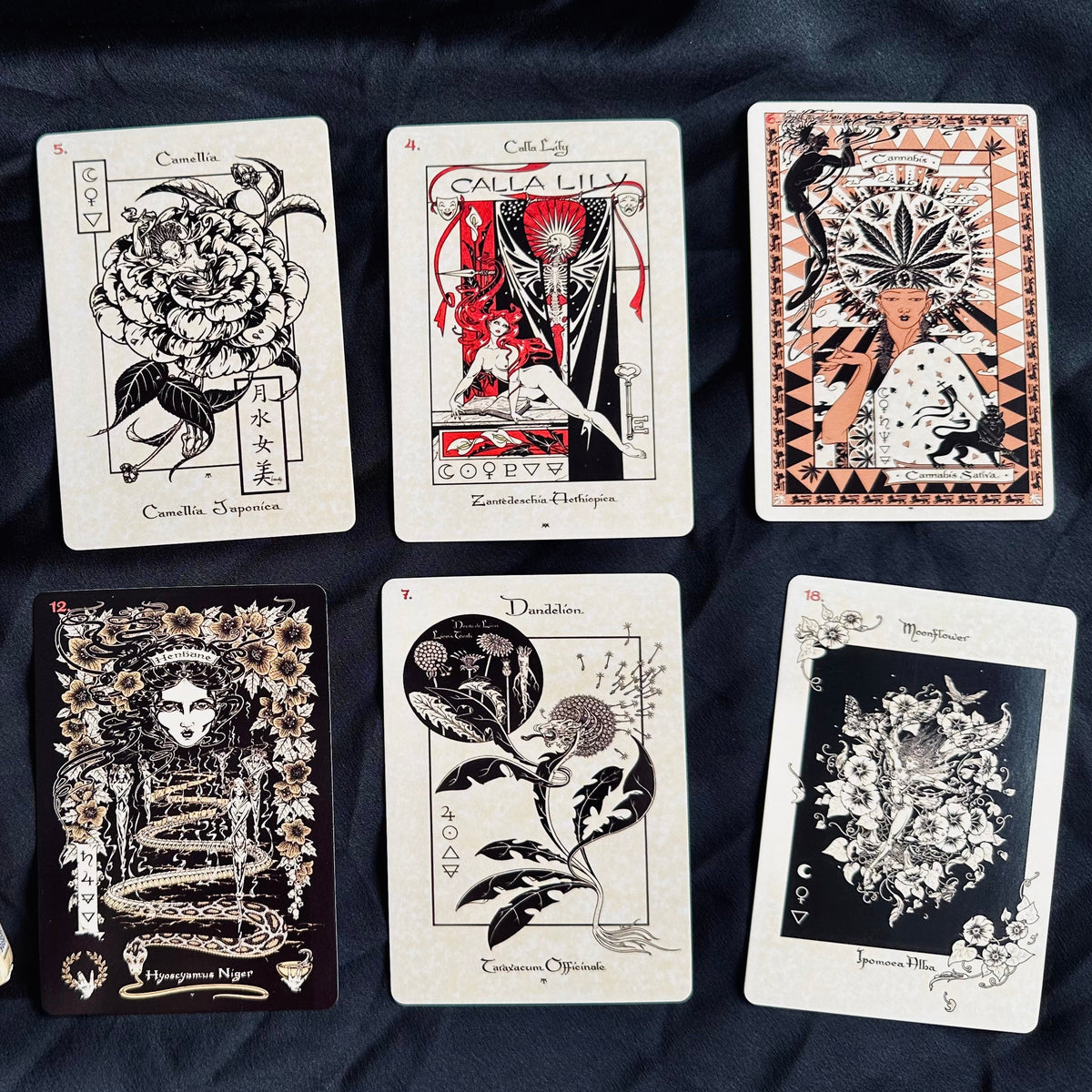Magickal Botanical Oracle cards fanned out with illustrated plant artwork - Let's Jam tarot and oracle, Camden Market