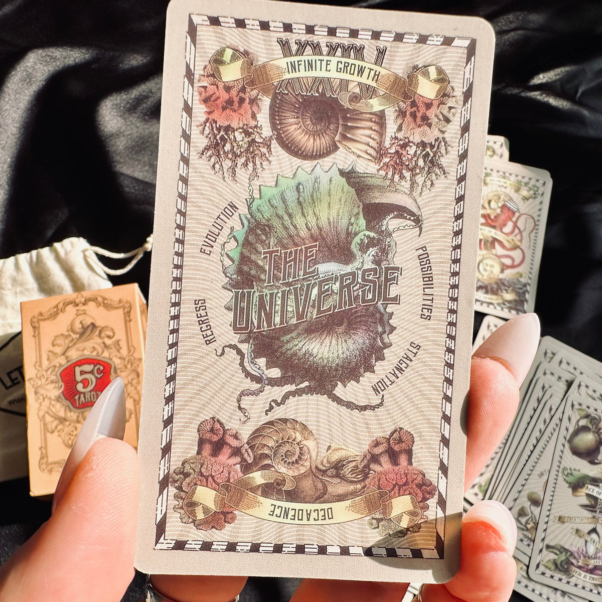5 Cent Tarot cards fanned out showing botanical engraving artwork - Let's Jam, Camden Town