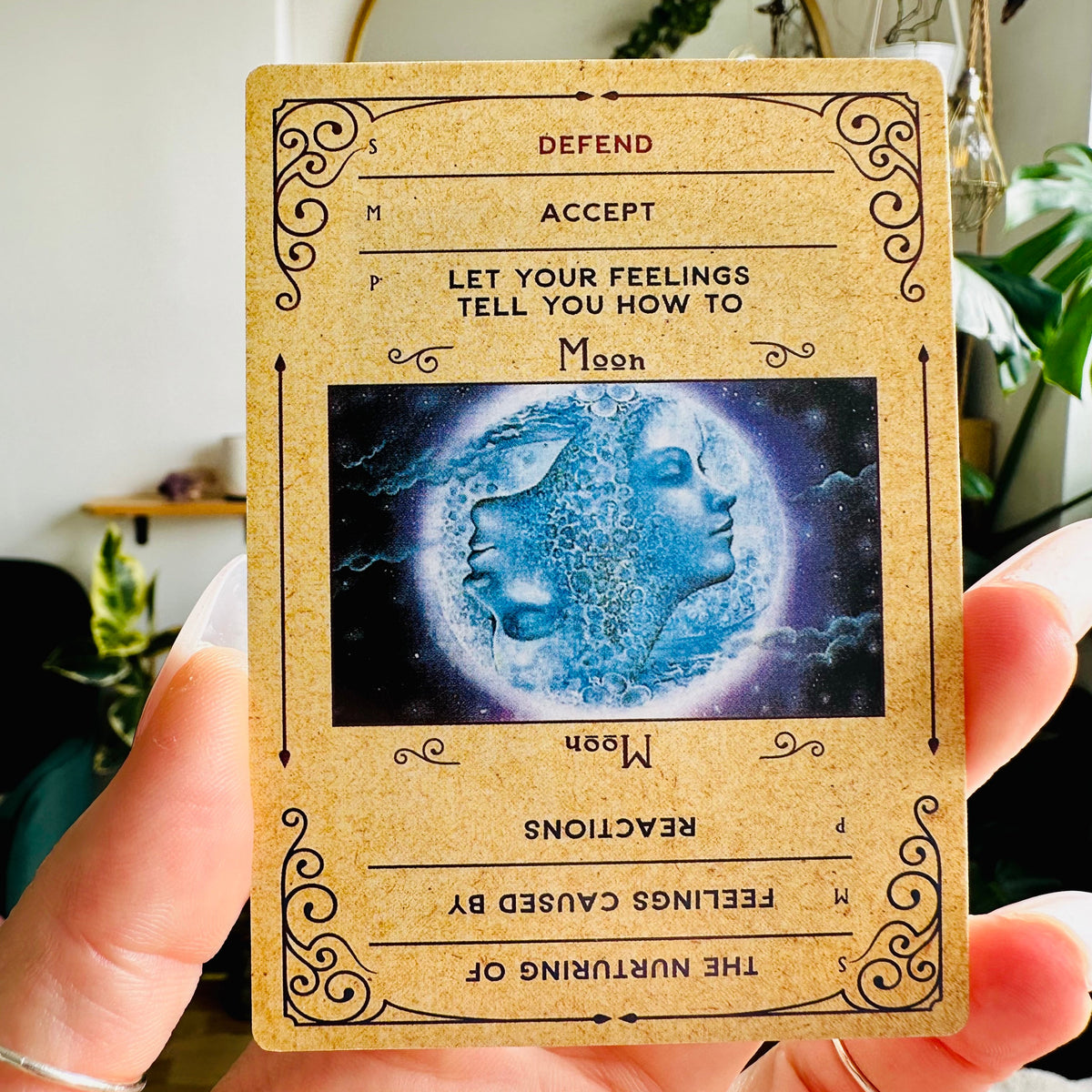 Karma Cards astrology oracle deck box with its cosmic face illustration - Let's Jam tarot and oracle, Camden Market