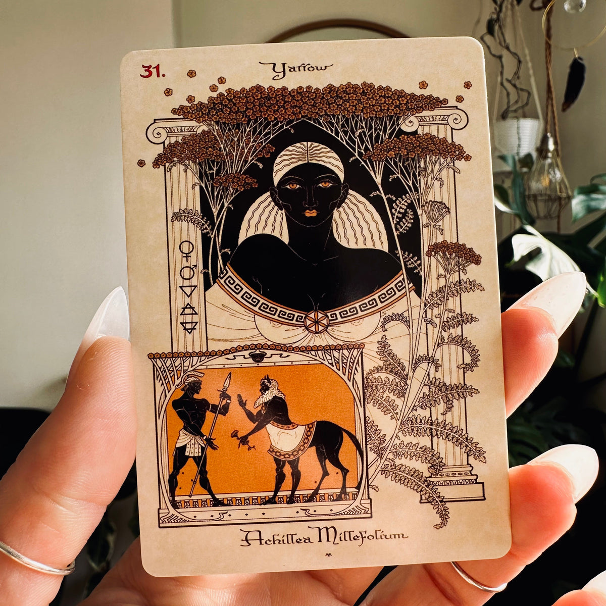 Oracle deck shown with the drawstring bag and smudging stick included - Let's Jam, Camden Town London