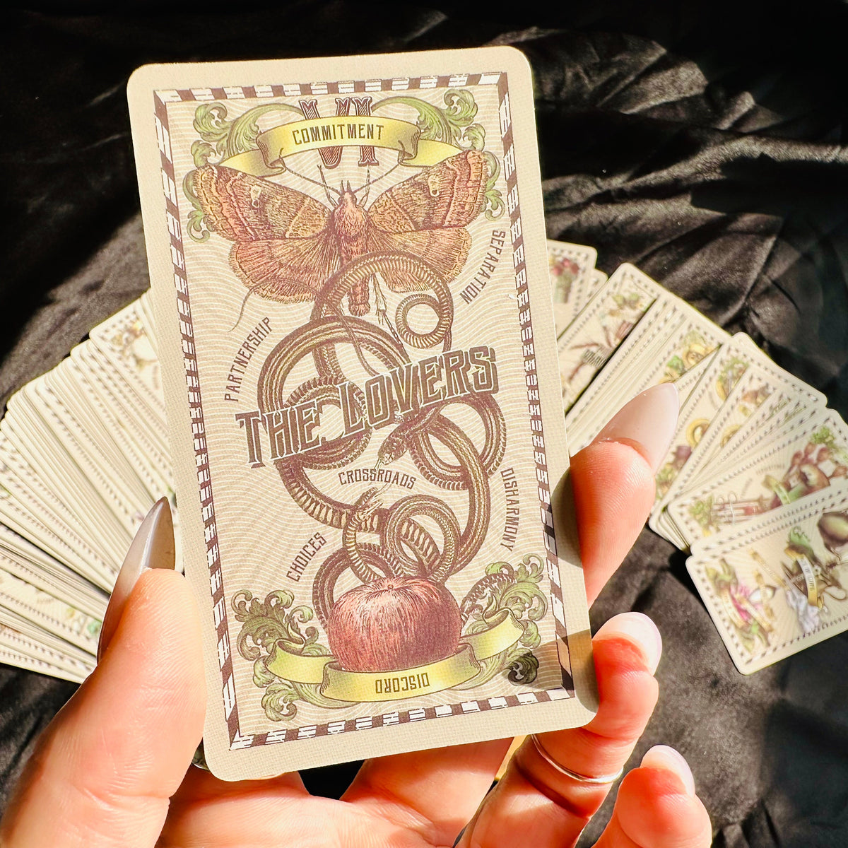A 5 Cent Tarot card held up in front of the deck box - Let's Jam tarot and oracle, Camden Town