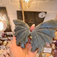 Load image into Gallery viewer, Close view of the labradorite butterfly wings in the hand in the shop - Let's Jam, Camden Town London
