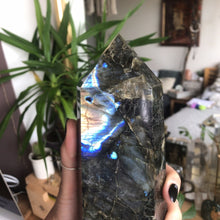 Load image into Gallery viewer, Crystal Point ⟁ Labradorite • Unique Piece
