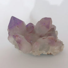 Load image into Gallery viewer, Crystal • Amethyst • Cluster
