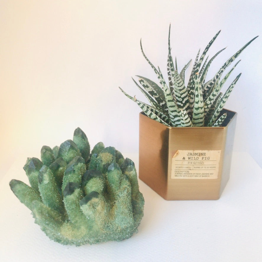 Green phantom quartz crystal cluster displayed as a home decor piece beside a potted succulent - Let's Jam crystal collection