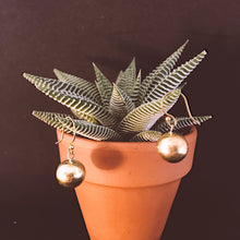 Load image into Gallery viewer, Ethnic Earrings • Rounda
