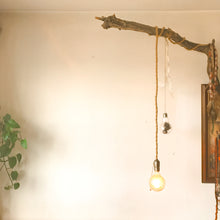 Load image into Gallery viewer, Lamp - The Wanderer + Pineapple
