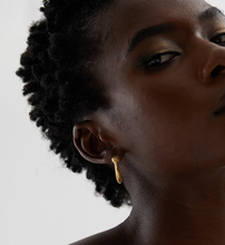 Load image into Gallery viewer, Monika • Snake • Real Gold Plated - Stainless Steel Earrings
