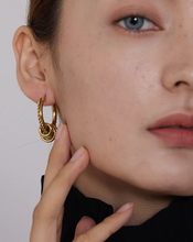 Load image into Gallery viewer, Elisenda • Real Gold Plated - Stainless Steel Earrings
