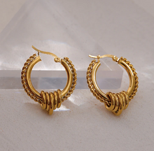 Load image into Gallery viewer, Elisenda • Real Gold Plated - Stainless Steel Earrings
