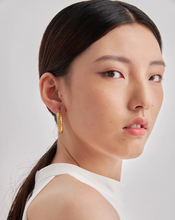 Load image into Gallery viewer, Rosalie • Real Gold Plated - Stainless Steel Earrings
